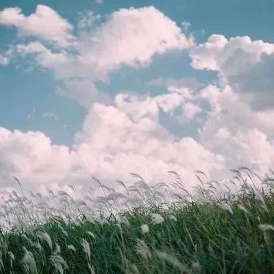 如何评价《沙丘 2》导演维伦纽瓦与陈思诚「造最真实的梦」主题对谈？